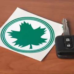 Zielony listek na aucie, symbol natury i wolności, obok kluczyka do samochodu.