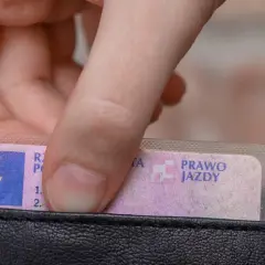 Dłoń wkłada do portfela polskie prawo jazdy. Nie można go kupić, trzeba je zdobyć legalnie.