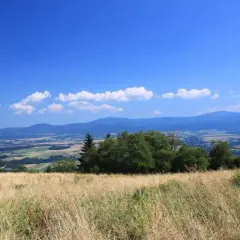 Krajobraz z trawą na pierwszym planie, drzewami i pasmami gór w oddali. Widok przypomina malowniczą autostradę sudecką.