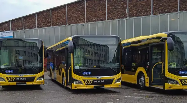 Nowe żółte autobusy MAN gotowe do kursowania między Gdańskiem a Katowicami.