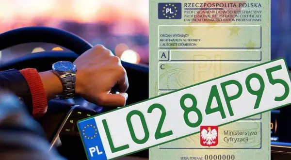 Ręka na kierownicy, zegarek na nadgarstku i polski dowód rejestracyjny z tablicą L02 84P95.