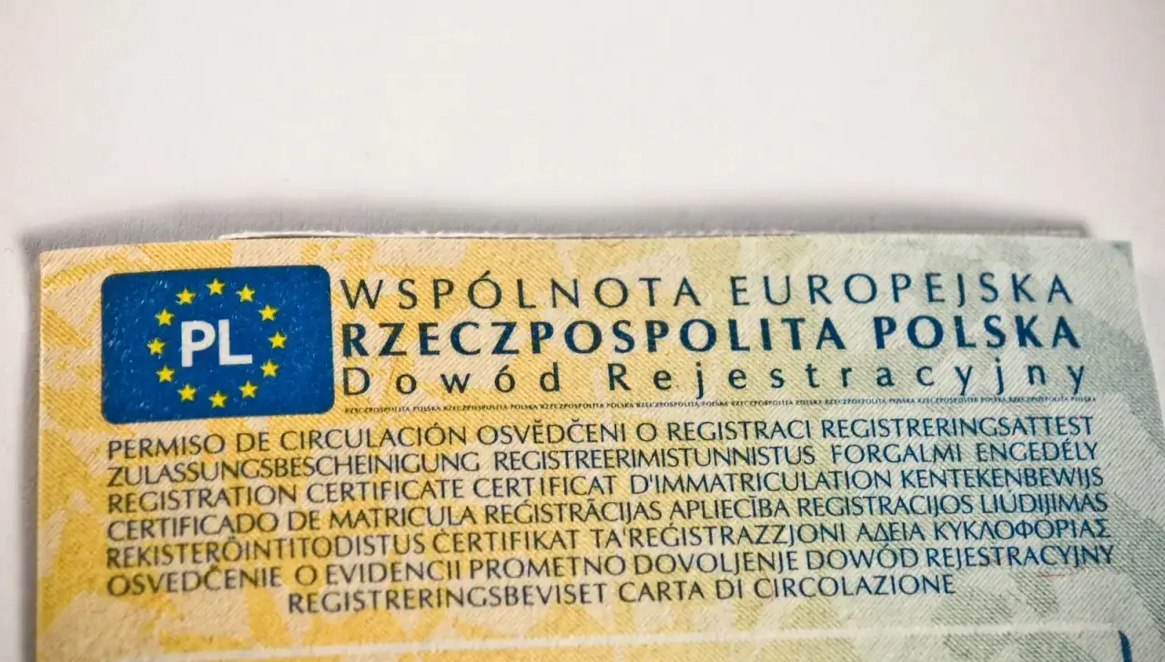 VIN w dowodzie rejestracyjnym - gdzie go znaleźć i sprawdzić?