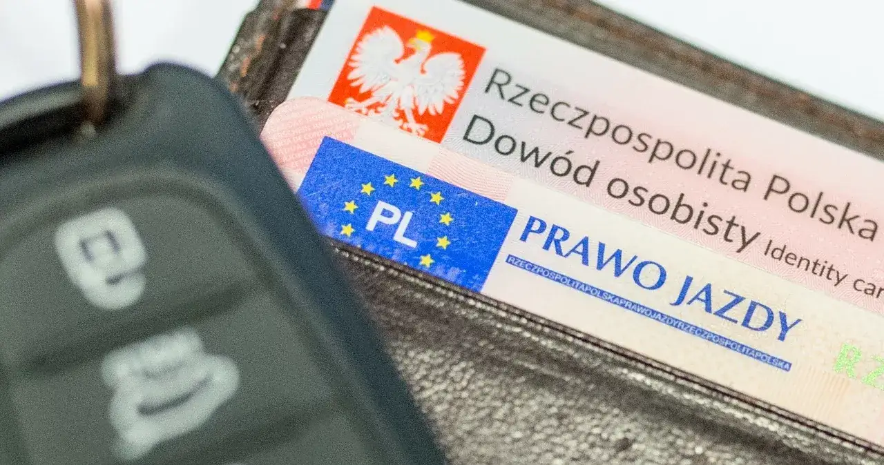 Zdjęcie Jakie prawo jazdy potrzebne do busa na bliźniakach w Polsce?