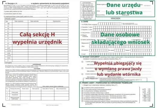 Data wydania prawa jazdy czy data kategorii? Sprawdź pola