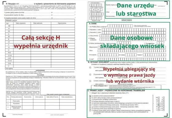 Data wydania prawa jazdy czy data kategorii? Sprawdź pola