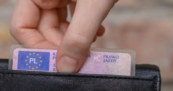 Dłoń wkłada do portfela polskie prawo jazdy. Nie można go kupić, trzeba je zdobyć legalnie.