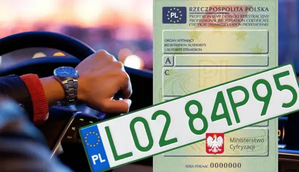 Ręka na kierownicy, zegarek na nadgarstku i polski dowód rejestracyjny z tablicą L02 84P95.