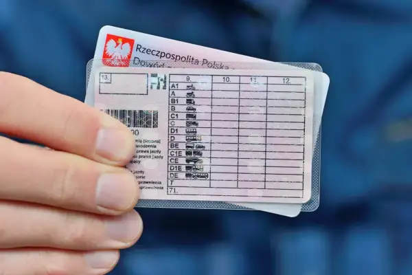 Polskie prawo jazdy na busa, kategoria D. Dłoń trzyma dokument z widocznymi kategoriami pojazdów.